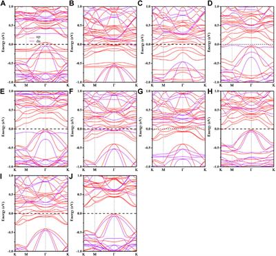 Two-dimensional half-metallicity in transition metal atoms decorated Cr2Ge2Te6